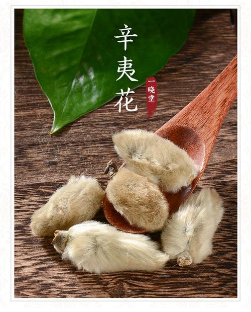 辛夷花 散风寒、通鼻窍的鼻科圣药——一晓堂中药饮片与代煎服务